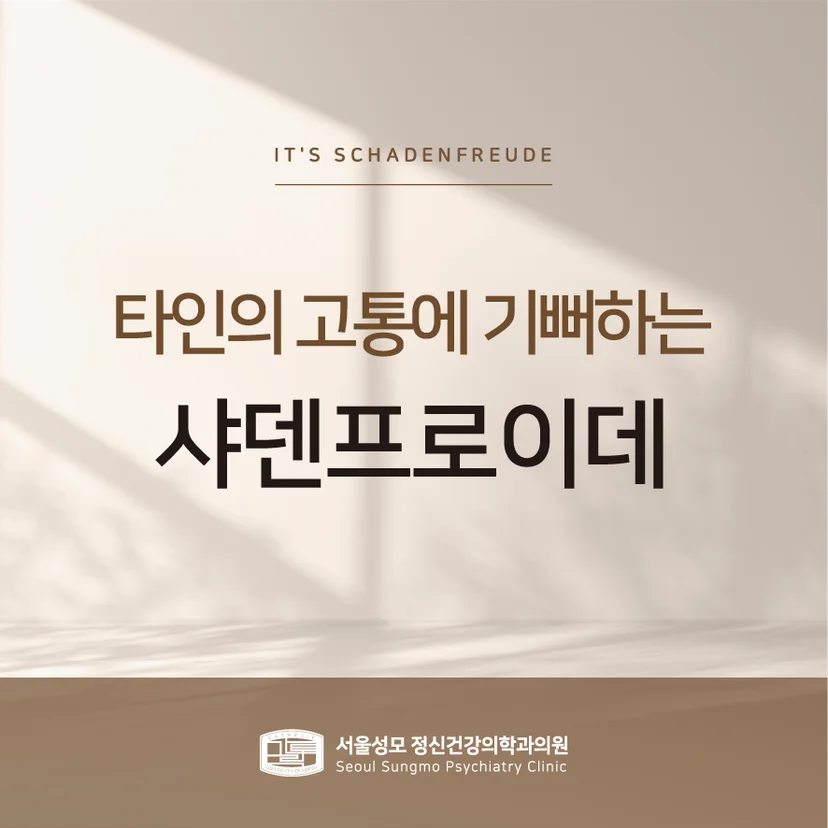샤덴프로이테 표지