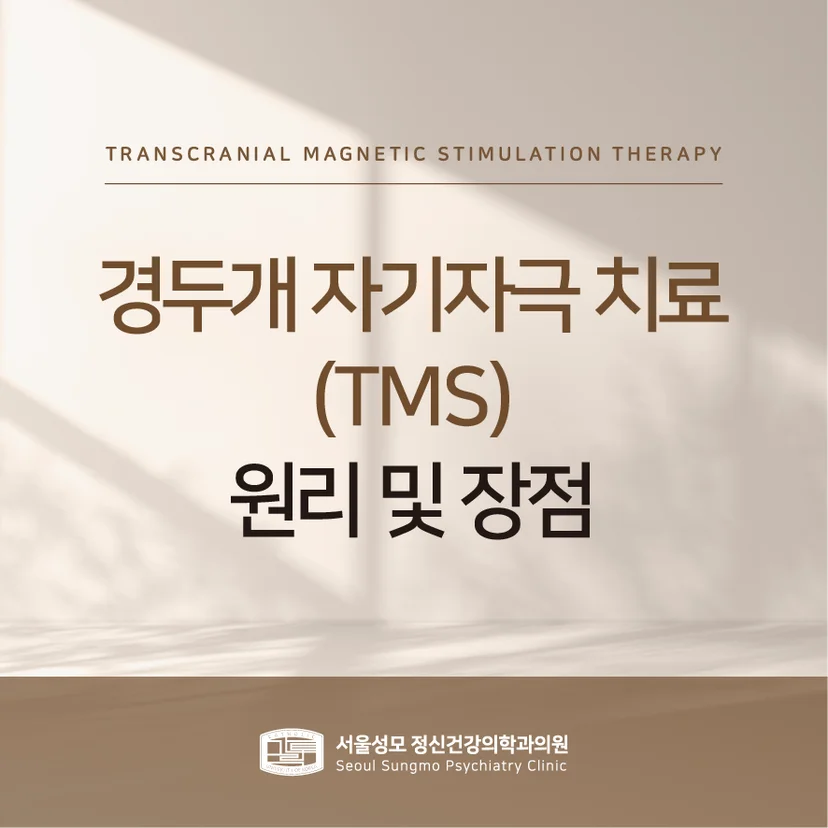 경두개 자기자극 치료 표지