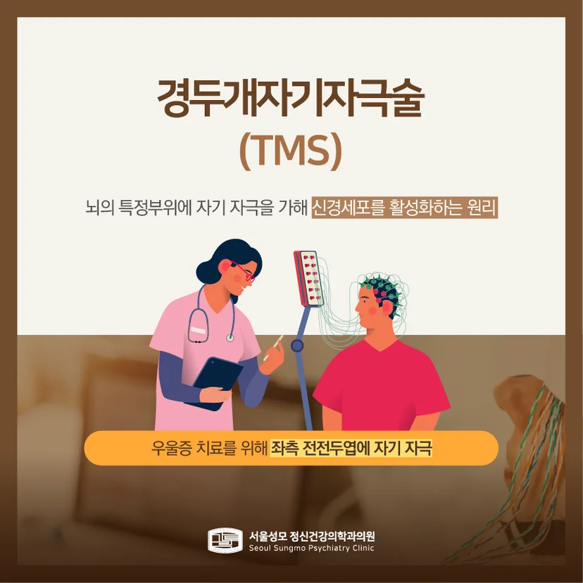 경두개자기자극술 설명