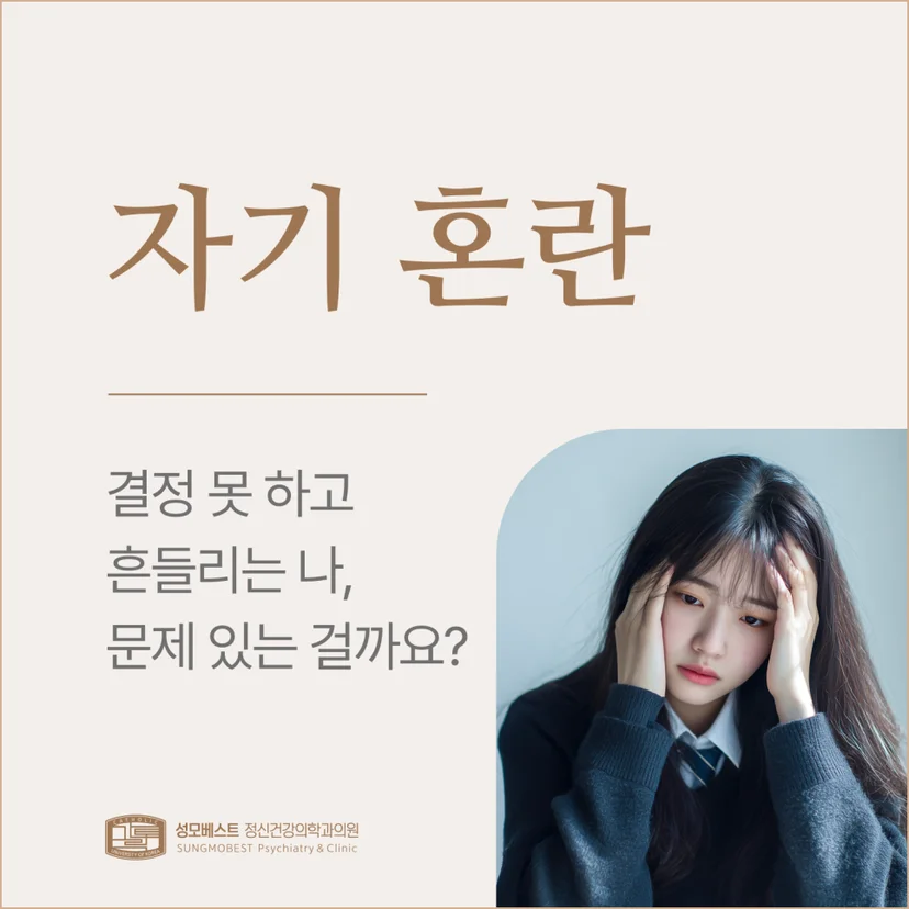 '자기 혼란' 표지