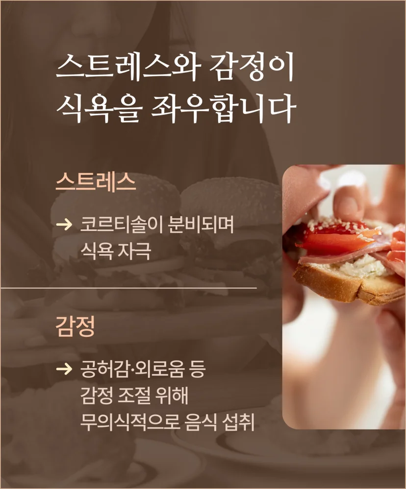 식욕을 좌우하는 스트레스와 감정