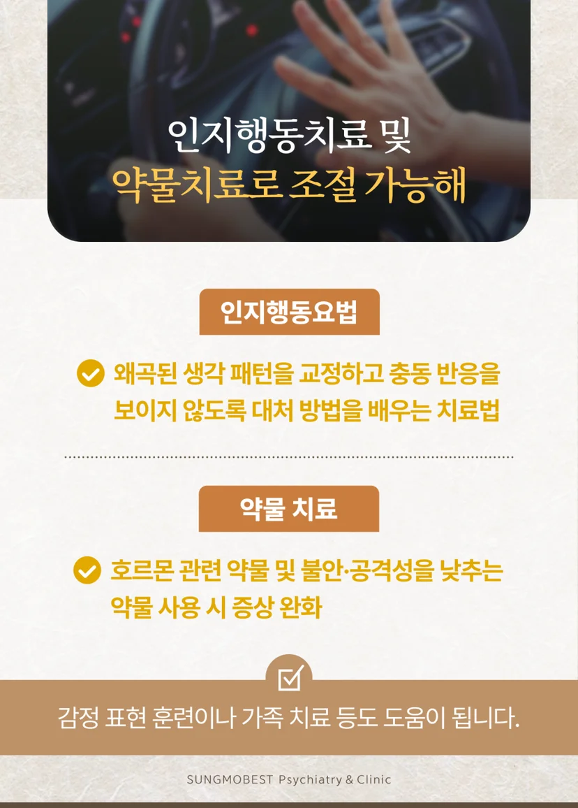 분노조절장애 치료
