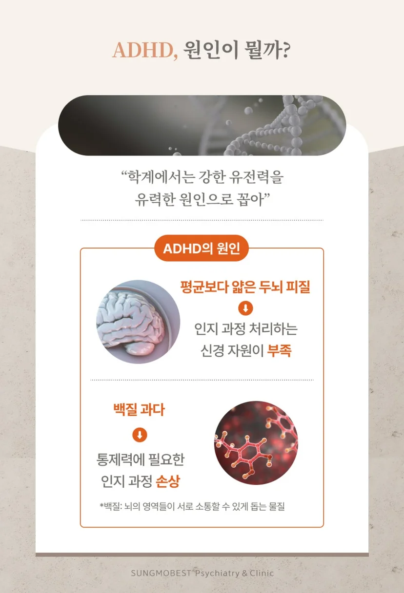 ADHD 원인