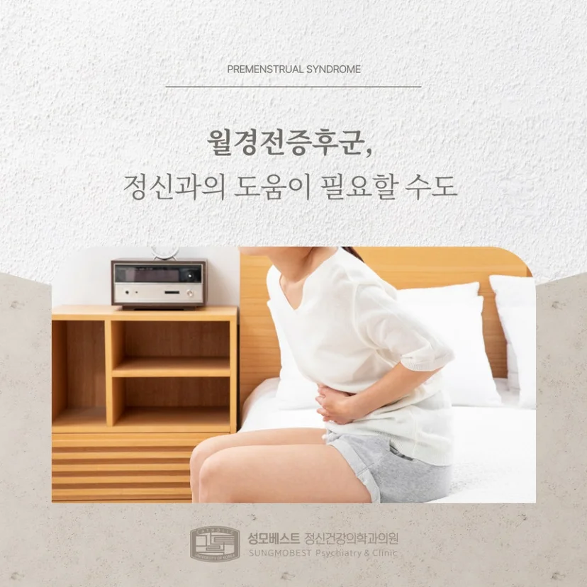 '월경전증후군' 표지