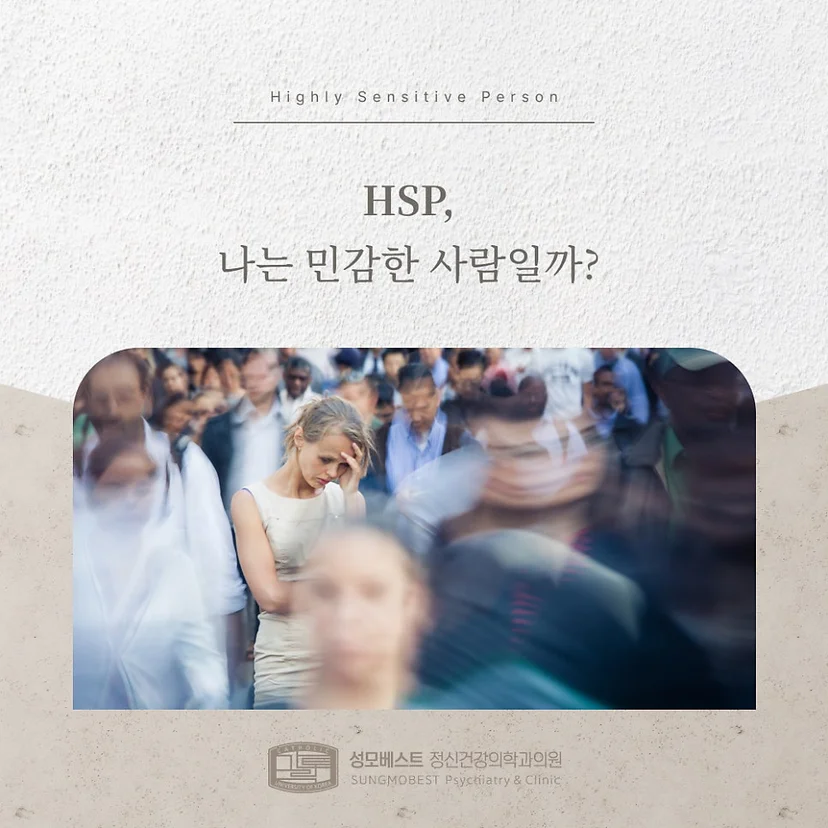 'hsp' 표지