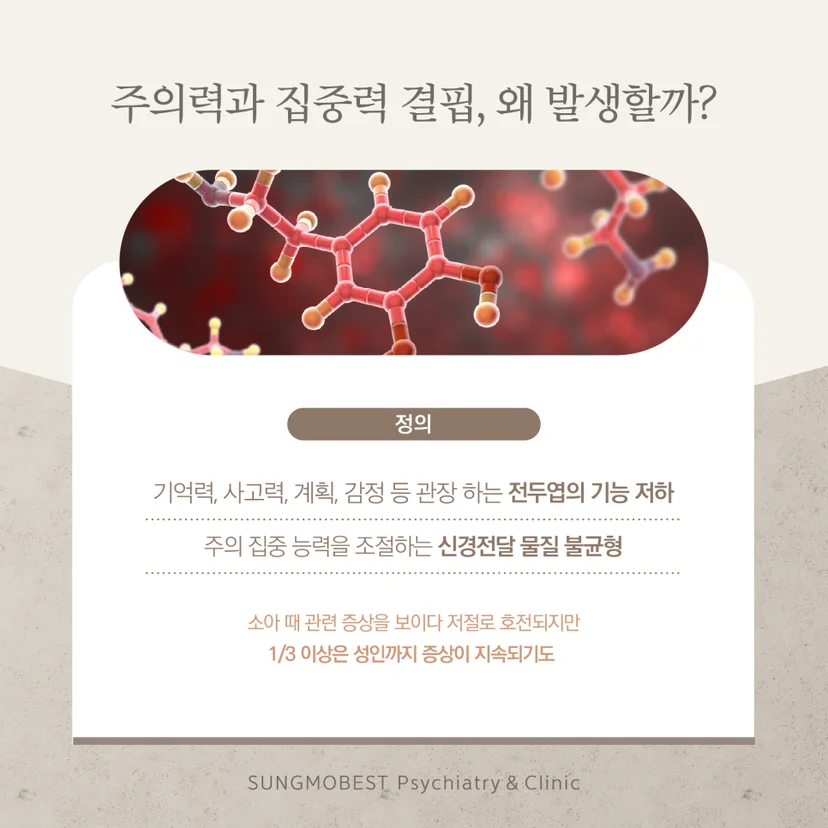 ADHD 원인
