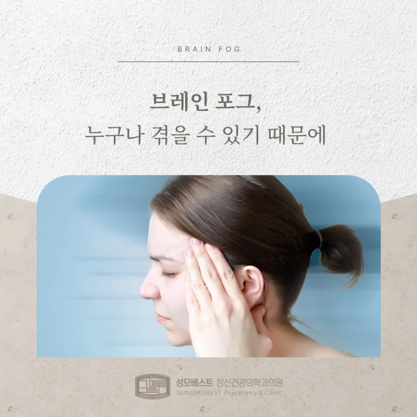 브레인 포그 표지