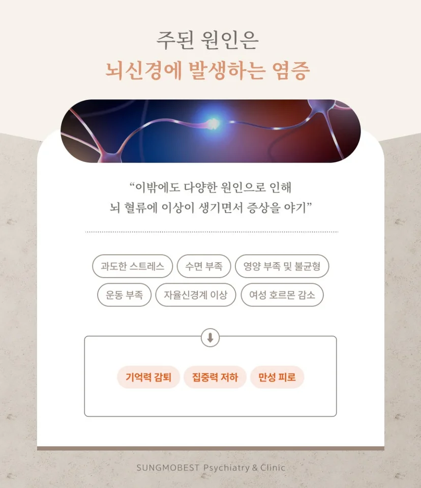 브레인 포그 원인