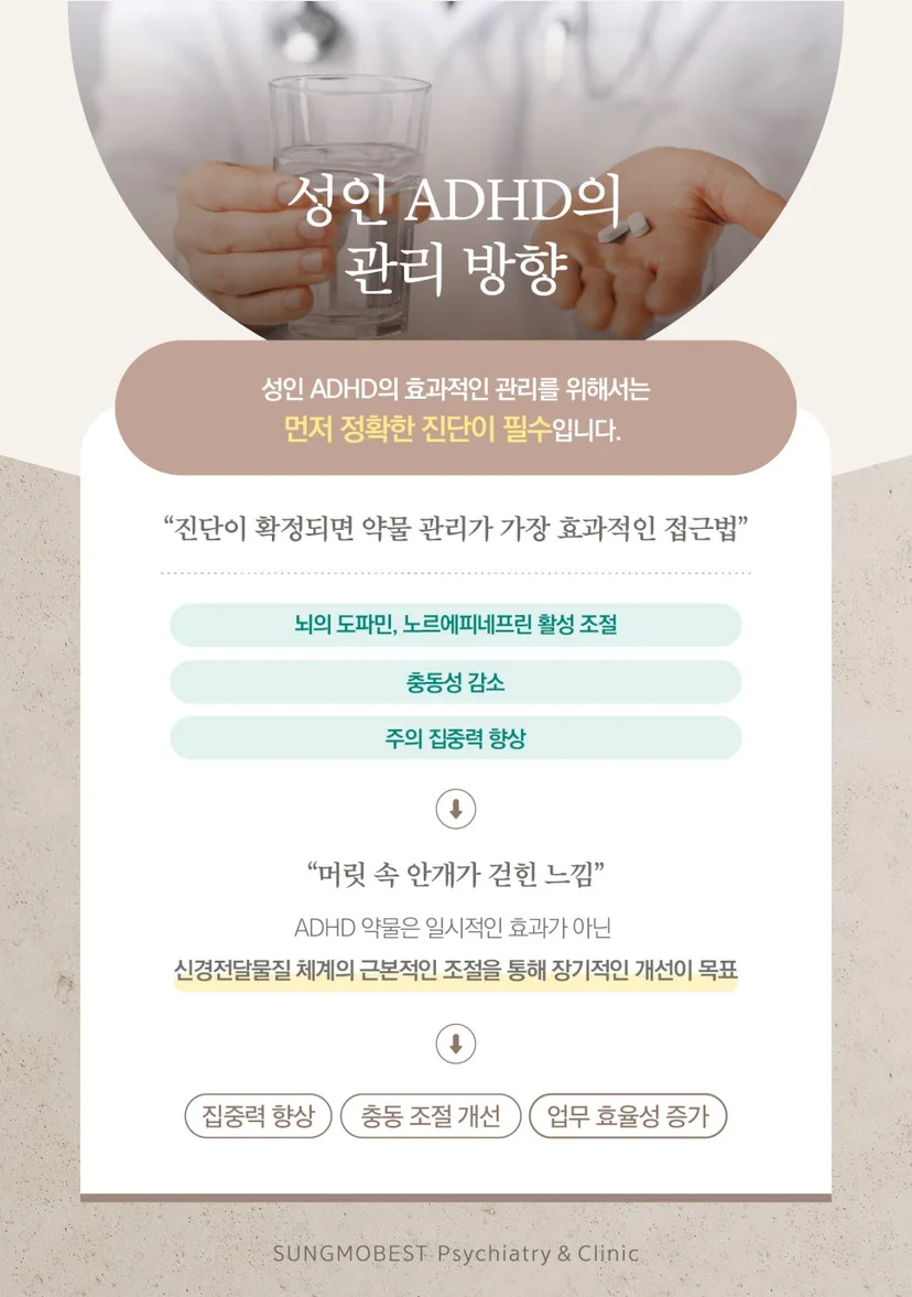 성인 ADHD 관리 