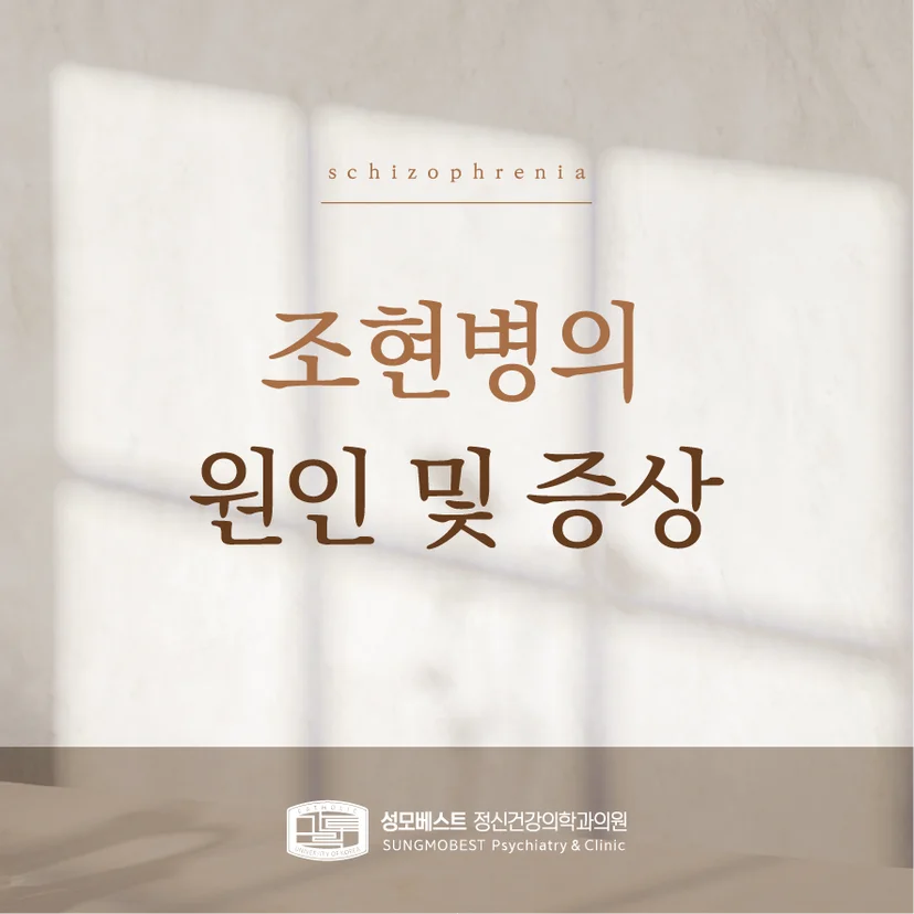 '조현병 원인 및 증상' 표지