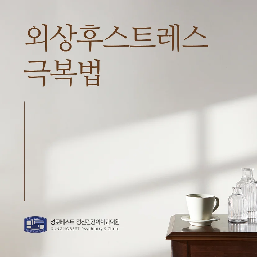 '외상후스트레스 극복법' 표지