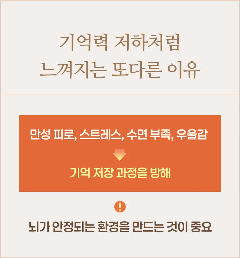 중년 기억력 저하 원인