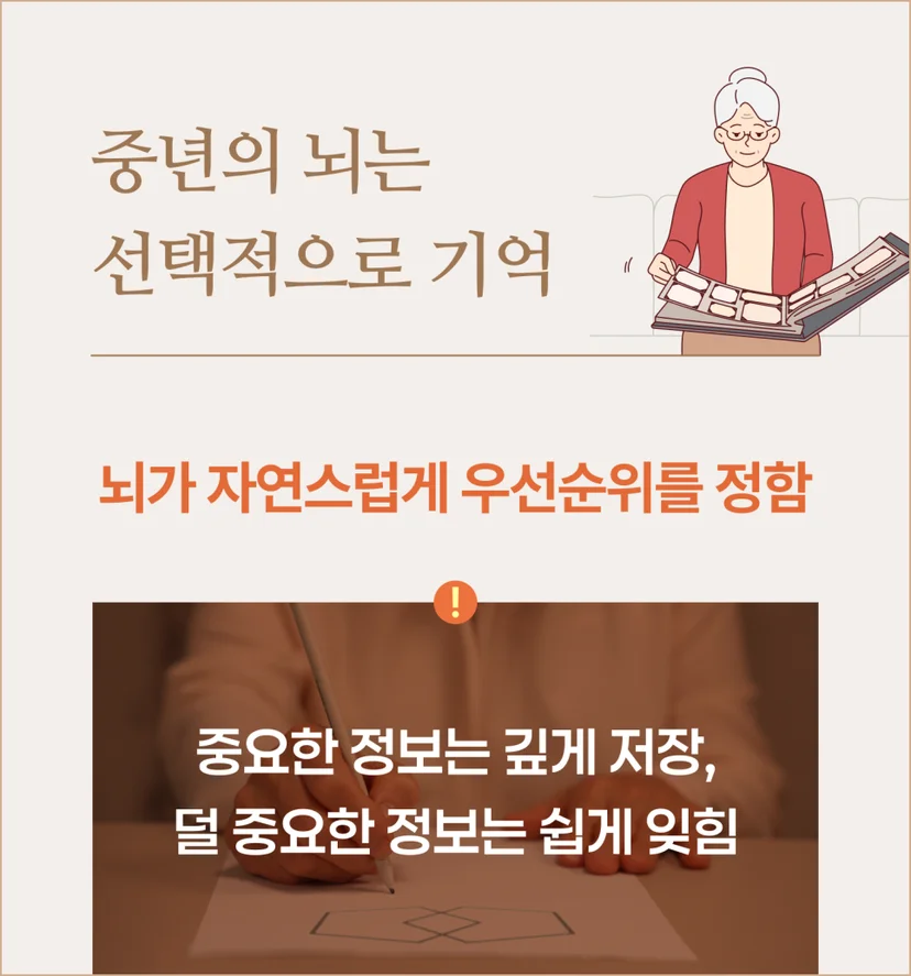 중년 기억력 저하 원리