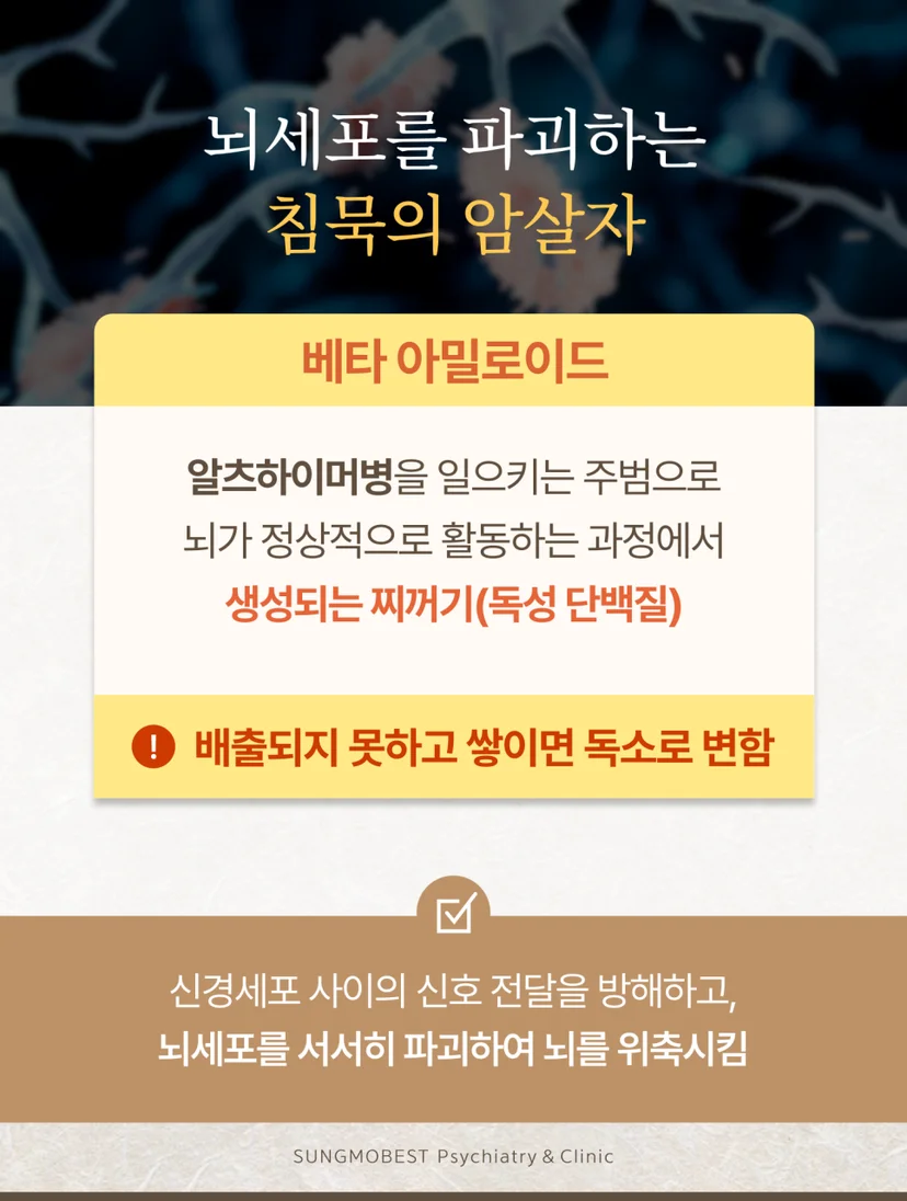 치매 주요 요인