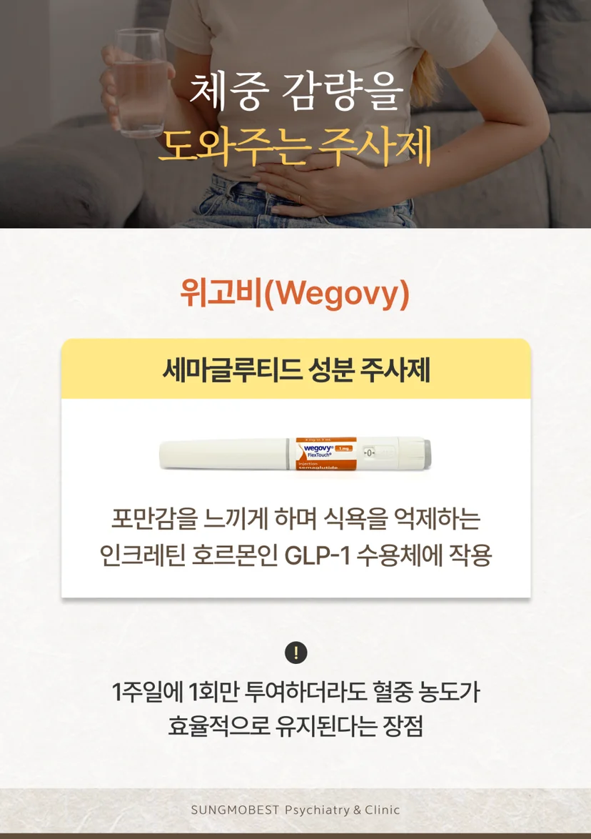 위고비 설명