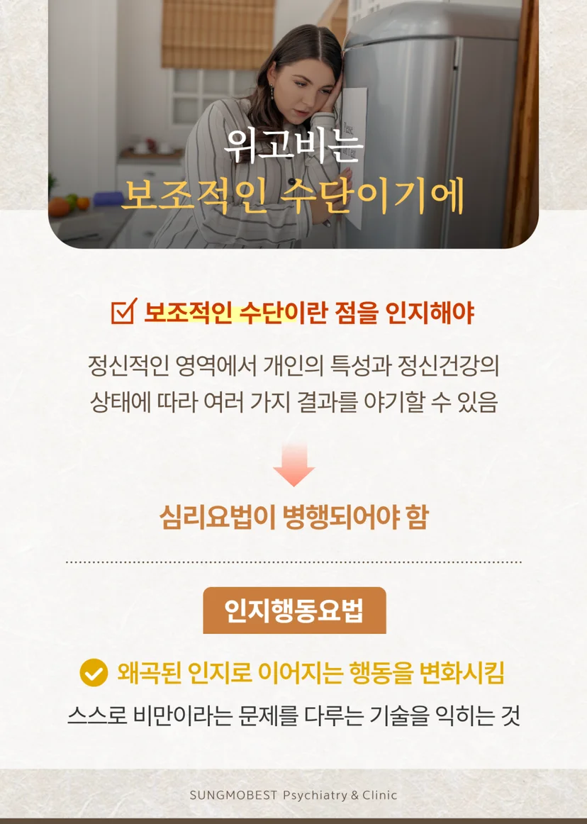 보조 수단으로써의 위고비