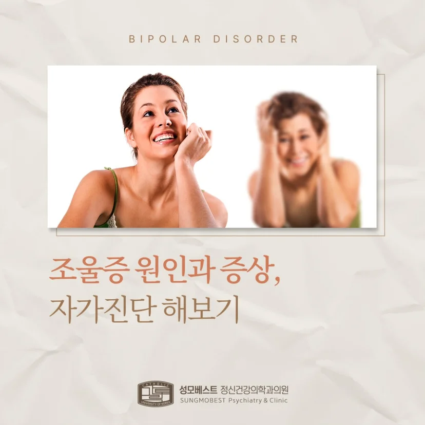 '조울증 원인 및 증상' 표지