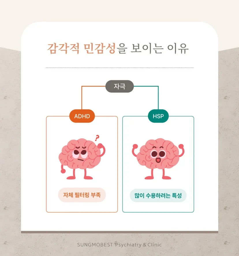 ADHD와 HSP의 감각적 민감성