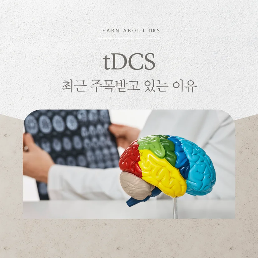 tDSC 표지