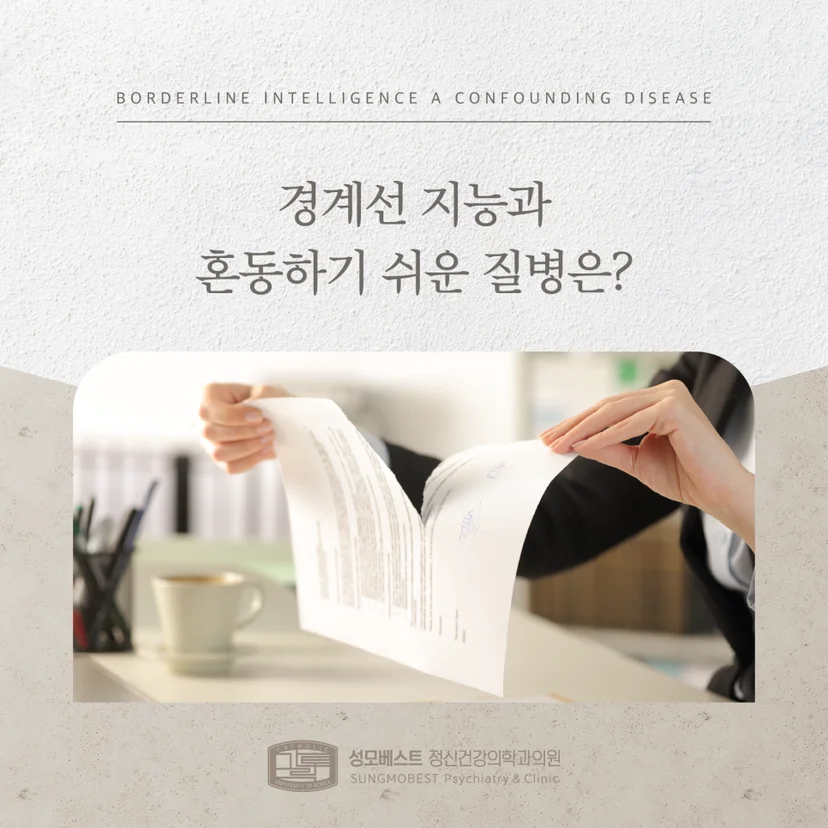 경계선 지능 표지
