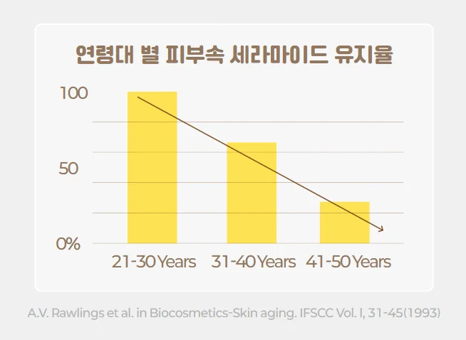 연령대별 세라마이드 엔피 유지율 