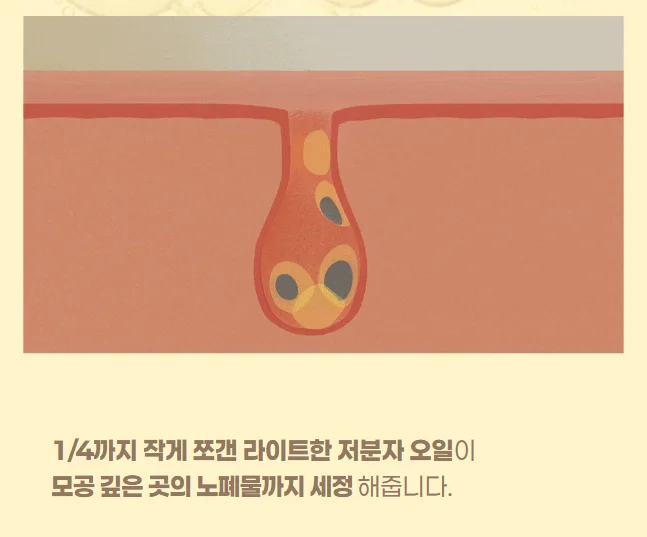 아이레시피 EZLite®: 모공 막힘 없는 피지 용해 설계 설명 이미지
