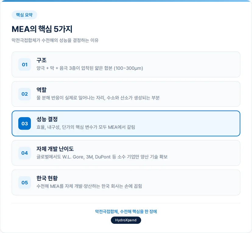 MEA의 핵심 5가지