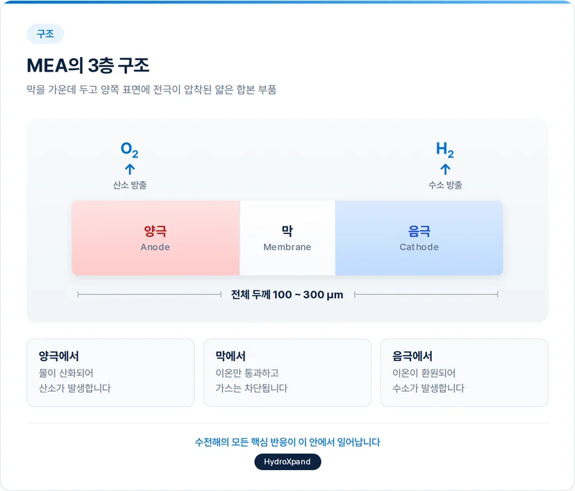 MEA의 구조
