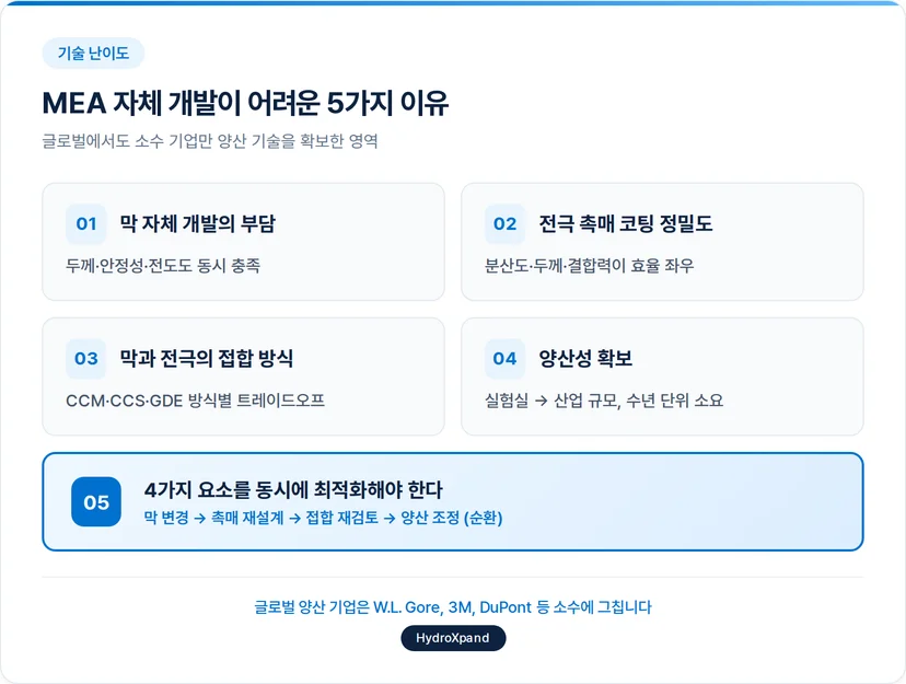 MEA의 강점과 한계 - 자체 개발이 어려운 5가지 이유