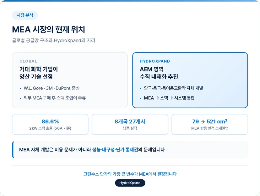 MEA 시장의 현재 위치