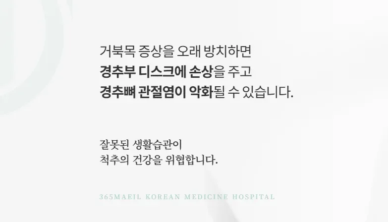 365매일한방병원 | 동대문점