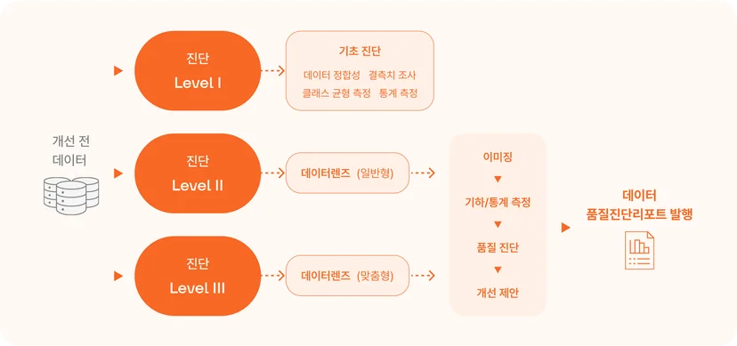 데이터클리닉의 데이터 품질 진단 과정