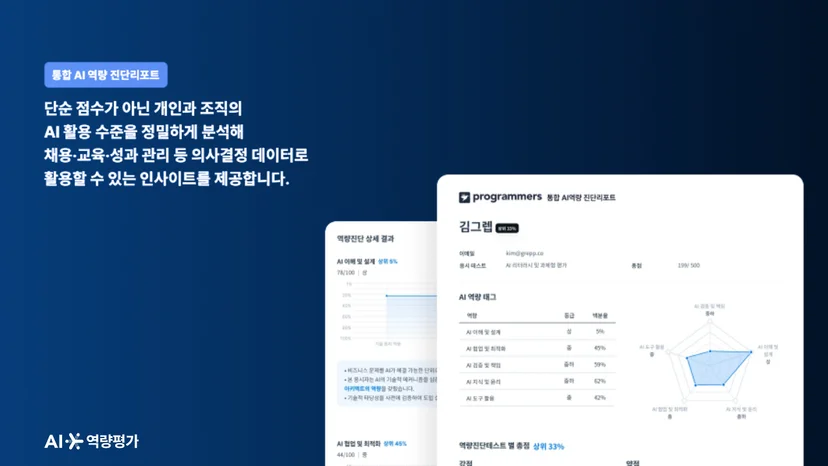 프로그래머스 AI 역량평가의 통합 진단 리포트 화면 — 개인·조직의 AI 활용 수준과 스킬 분포를 시각화한 스킬 기반 HR 데이터