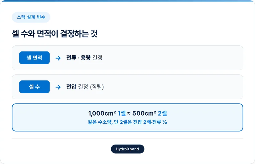 셀 수와 면적이 결정하는 것