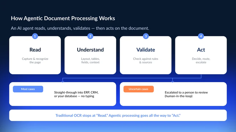A four-step diagram of how agentic document processing works — read, understand, validate, then act — with the act step branching into two outcomes: most documents routed straight through into ERP, CRM, or a database, and uncertain cases escalated to a person for human-in-the-loop review