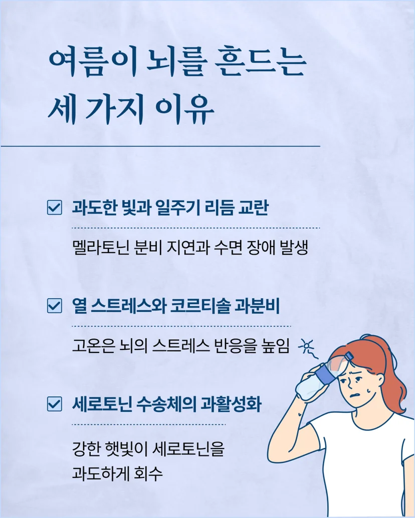 여름이 뇌를 흔드는 이유