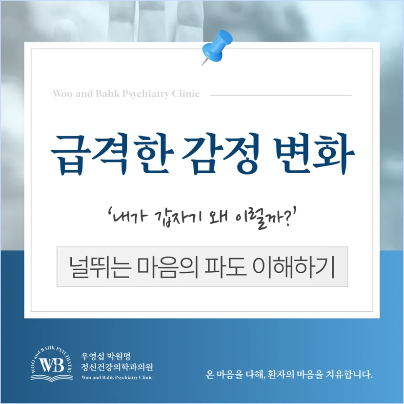 '급격한 감정 변화' 표지