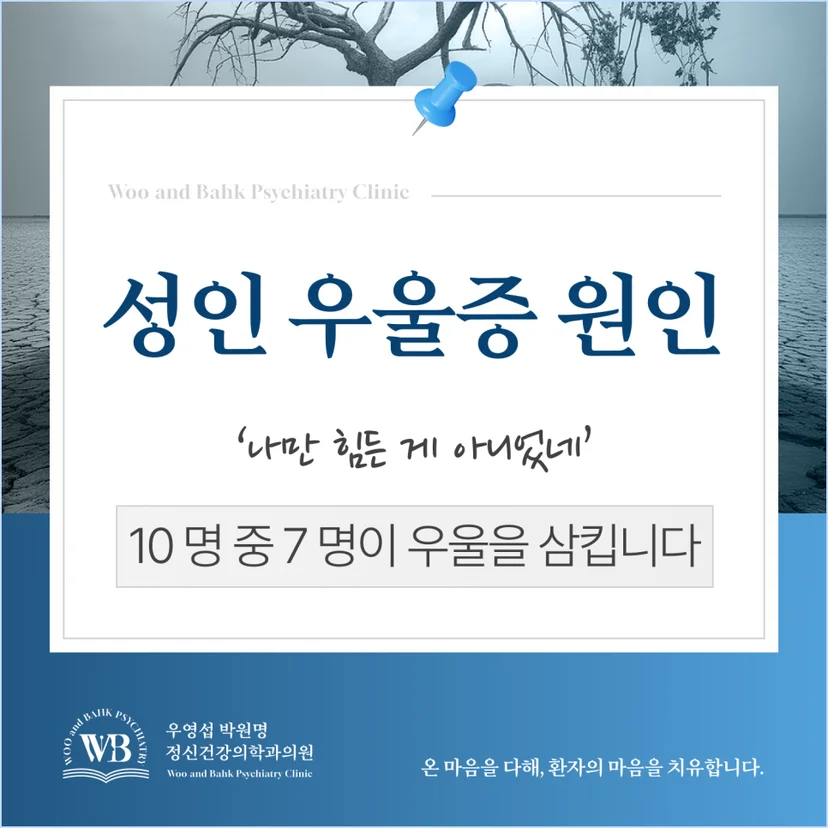 '성인 우울증 원인' 표지