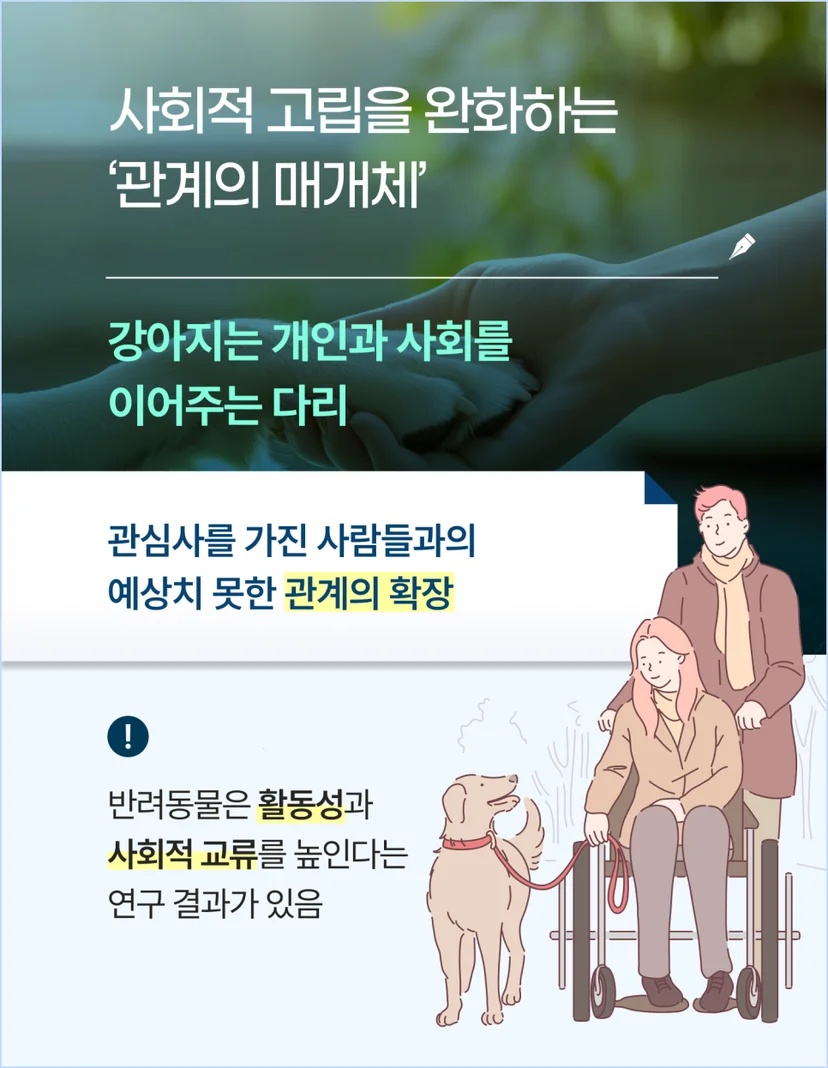 강아지는 개인과 사회를 이어주는 다리 역할을 합니다