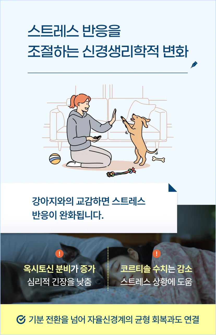강아지와 교감하면 스트레스 반응이 완화됩니다