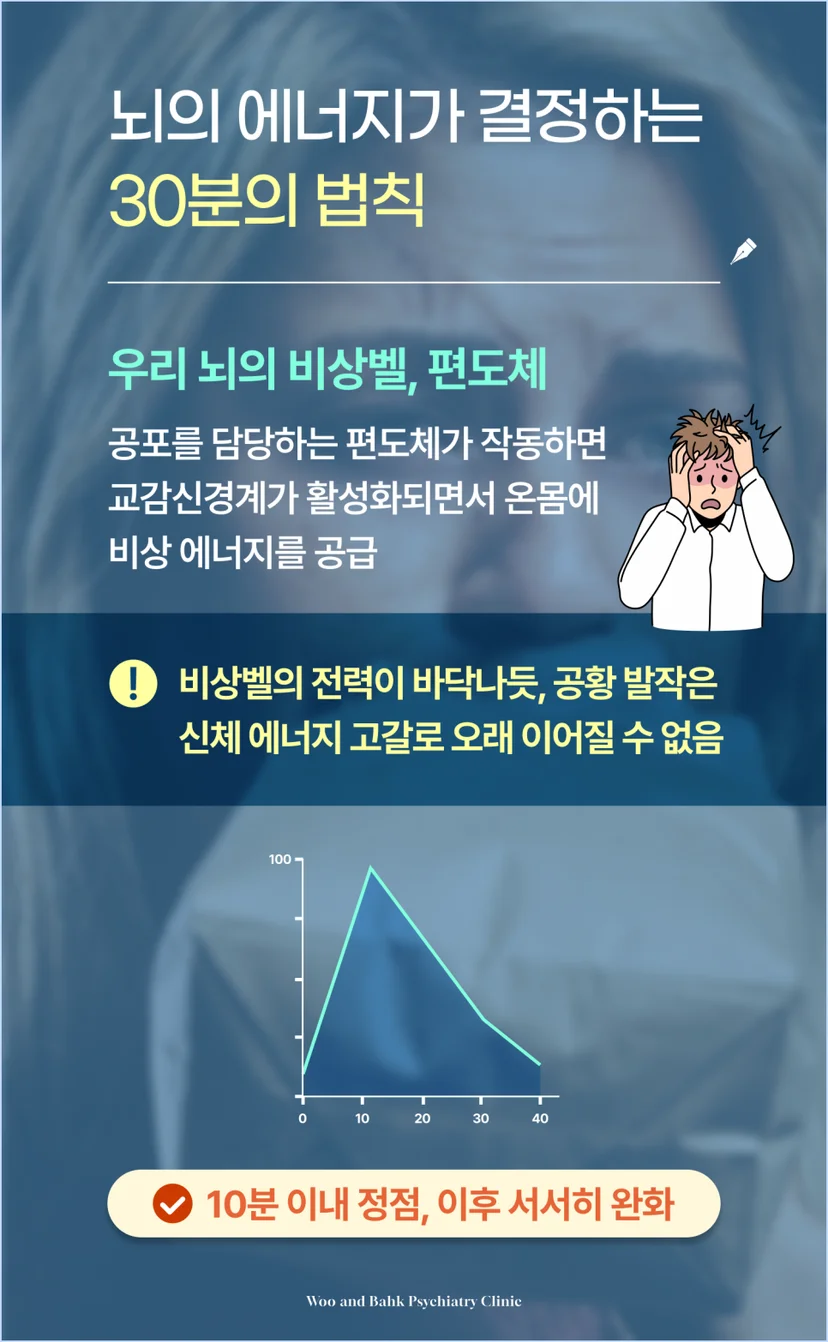 뇌의 에너지가 결정하는 30분의 법칙