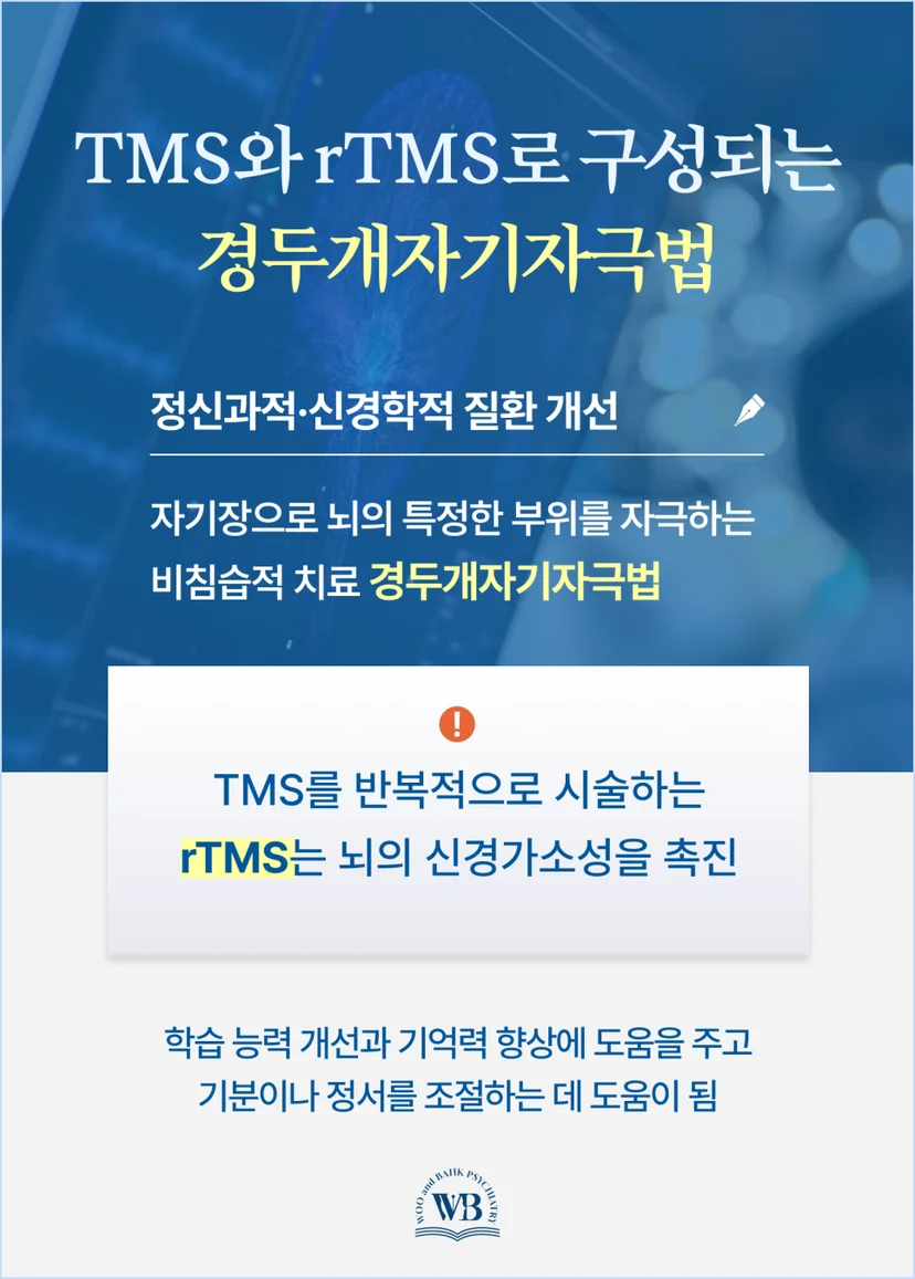 TMS와 rTMS로 구성되는 경두개자기자극법