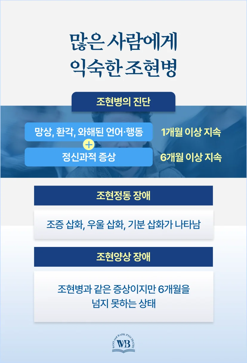 조현병 조현정동 장애