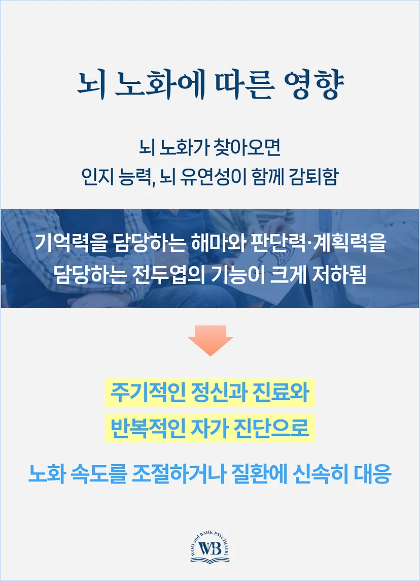 뇌 노화에 따른 영향