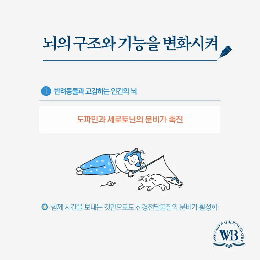 뇌의 구조와 기능에도 긍정적 변화