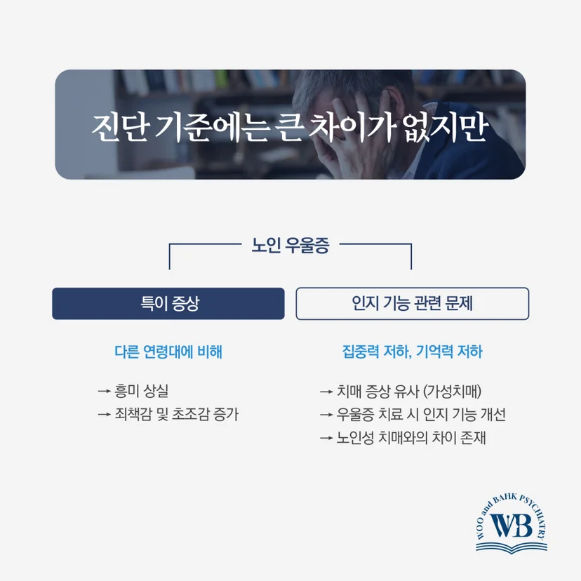 노인 우울증 진단 기준