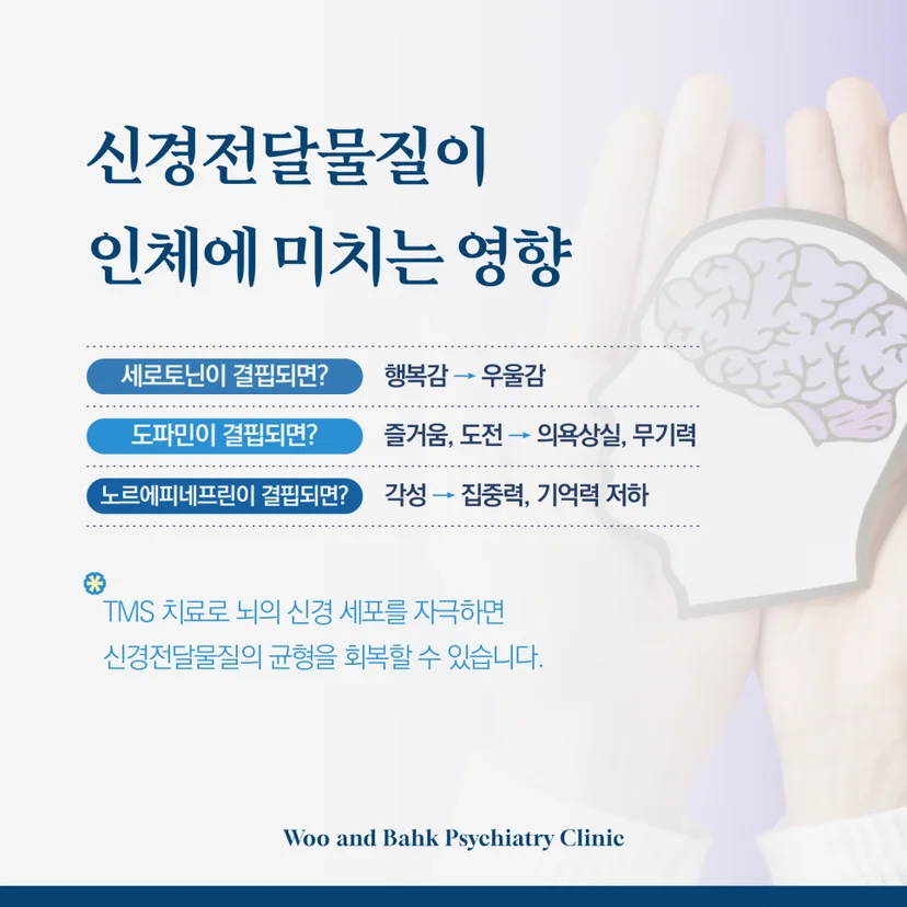 신경전달물질이 인체에 미치는 영향