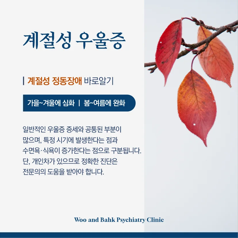 계절성 정동장애의 정의