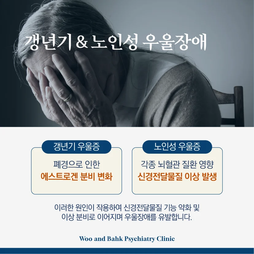 갱년기 및 노인성 우울장애