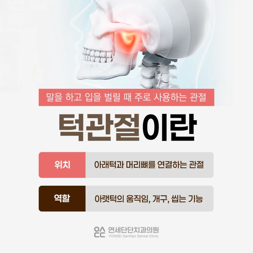 턱관절 설명